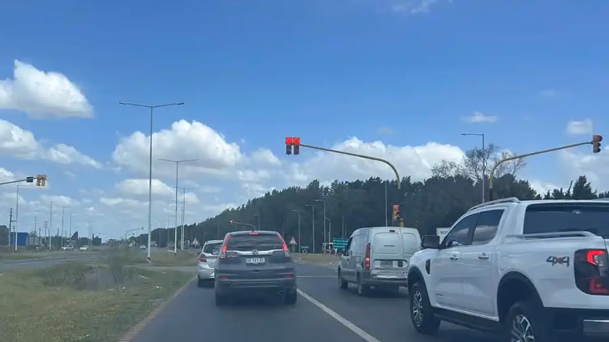 trafico